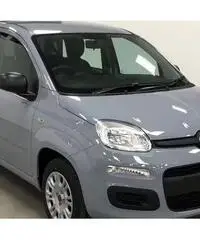 Fiat Panda 1.2 69cv S&S Easy E6D (KM0)