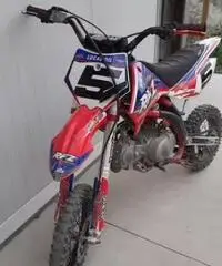 Pit bike 150 - 2