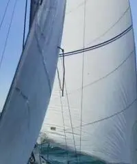 Barca vela - 4