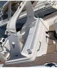 Gommone Pholas 23 con motore Evinrude 250 HP - 3