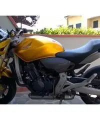 Honda Hornet