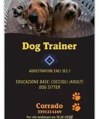 Dog Trainer