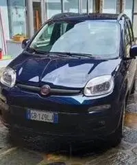 FIAT Panda 3ª serie - 2020