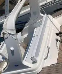 Gommone Pholas 23 con motore Evinrude 250 HP