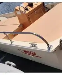 Barca Boston Whaler - 2