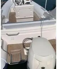 Gommone Pholas 23 con motore Evinrude 250 HP - 2