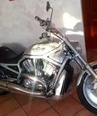 Harley-Davidson V-Rod