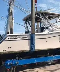 Grady White 330 Express + 2x350hp Yamaha (tutto 20