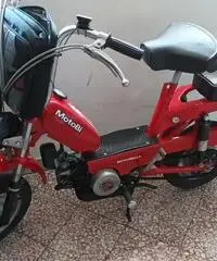 Motorella