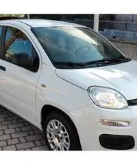 FIAT Panda Easy 1.2 Benz 69 CV