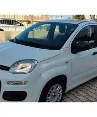 FIAT Panda Easy 1.2 Benz 69 CV - 3