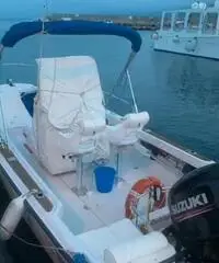 Boston whaler