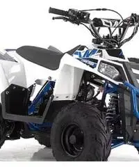 Quad commnader 110 apollo motors garanzia 12 mesi