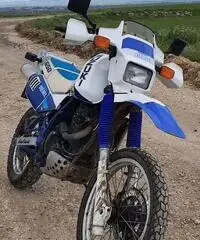 Suzuki DR DJEBEL 650