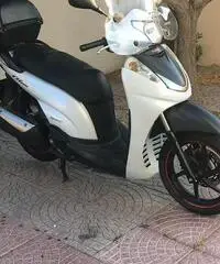 Honda sh 300 sport