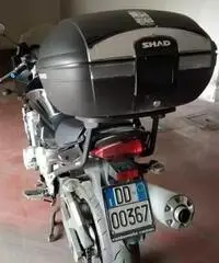 Suzuki bandit s 650 - 3