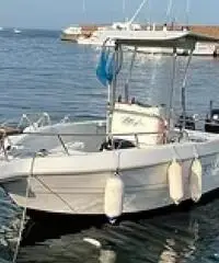 Sessa key largo 20