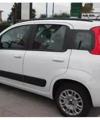 Fiat Panda 1.2 BENZ X OPERATORI DEL SETTORE CON FE