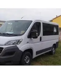 Fiat ducato camper