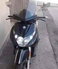 Piaggio Beverly 250 - 2005 - 2