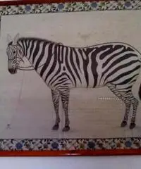 Quadro con zebra - Puglia