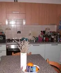 Appartamento in Affitto a 500€ - Firenze - 3