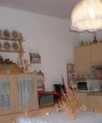 Appartamento in Affitto a 350€ - Udine - 3
