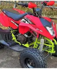 New QUAD FX 250cc Maxi KING R10 Sport TEAM