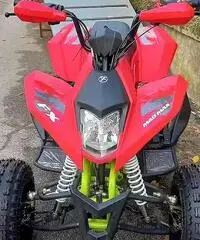 New QUAD FX 250cc Maxi KING R10 Sport TEAM - 2