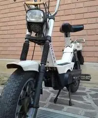 Gilera eco