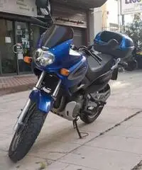 Suzuki XF Freewind 650 - 2002