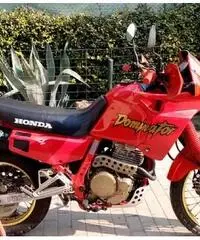 Honda nx 650 dominator