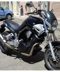 Bt bulldog Yamaha 1100