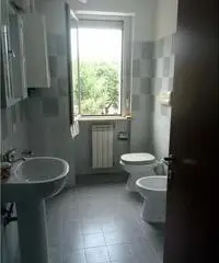 Bilocale arredato in ottimo stato - Viterbo - 4
