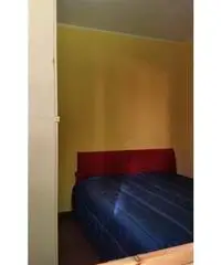 Appartamento di 2 locali in Affitto - Arezzo - 2