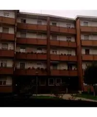 Novara: Appartamento Bilocale - 2