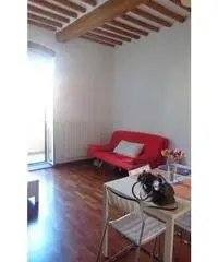 Appartamento in Affitto a 500€ - Livorno - 4