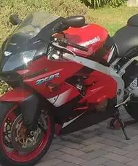 Ninja ZX 9R