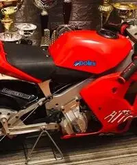 Minimoto POLINI ducati corse