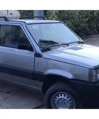 FIAT PANDA 1000 I.E CAT 4x4 SISLEY GPL USATA