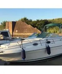 Sea Ray 250 sundencer