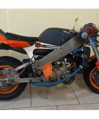 Minimoto polini