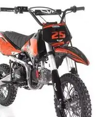 Pit bike gazzelle 125cc 4t automatico