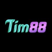 Tim88 Cổng game giải trí trực tuyến