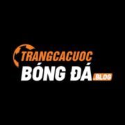 Trang Cá Cược Bóng Đá Uy Tín Trải Nghiệm Thể Thao Đỉnh Cao