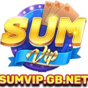 SUMVIP gb net