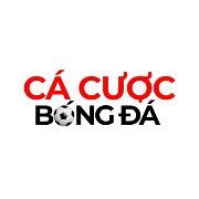 cacuocbongdaitcom1