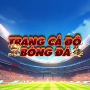 Trang Cá Độ Bóng Đá