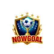 nowgoal29dev