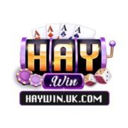 Haywin Link Truy Cập Cổng Game Giải Trí Trực Tuyến 2026